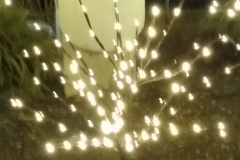 20191129_194635