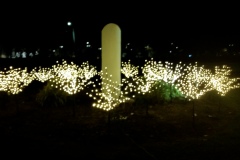 20191129_213236