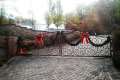 residential-image-1