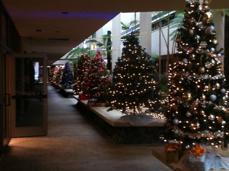christmas-at-the-county