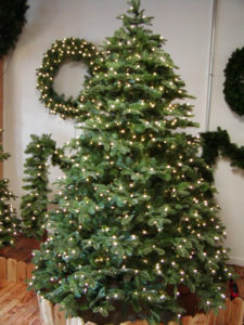 HBL-Noble-PE-Tree